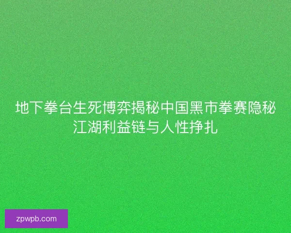 地下拳台生死博弈揭秘中国黑市拳赛隐秘江湖利益链与人性挣扎 地下拳台生死博弈揭秘中国黑市拳赛隐秘江湖利益链与人性挣扎
