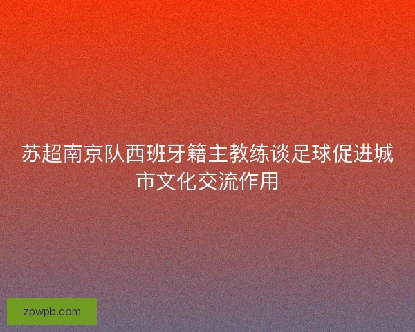 苏超南京队西班牙籍主教练谈足球促进城市文化交流作用 苏超南京队西班牙籍主教练谈足球促进城市文化交流作用